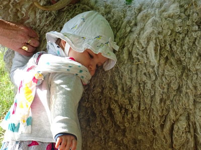 Enfant_chevre_angora Enfant_chevre_angora